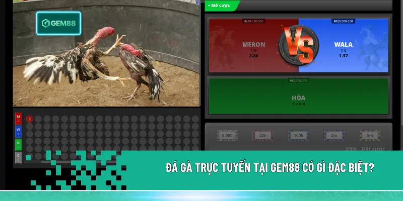 Đá Gà Là Gì? Sức Hút Của Những Chiến Kê Nảy Lửa 2 Đá gà trực tuyến tại Gem88 nổi bật với hình ảnh sắc nét, phát sóng 24/7, minh bạch và tiện lợi khi theo dõi, đặt cược